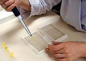8ohdg_elisa_procedure_bunchu_50.jpg