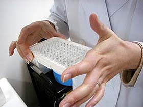8ohdg_elisa_procedure_shake (1).jpg