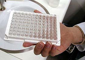 8ohdg_elisa_procedure_plate_hold.jpg