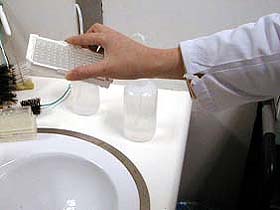 8ohdg_elisa_procedure_plate_disp.jpg