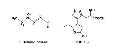 Anti 4-HHE monoclonal antibody