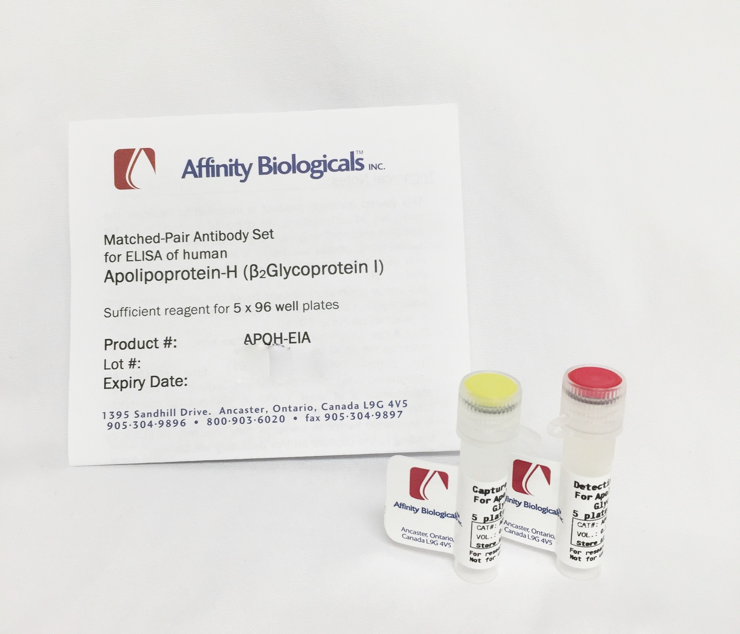 Apolipoprotein-H Paired Antibody Set