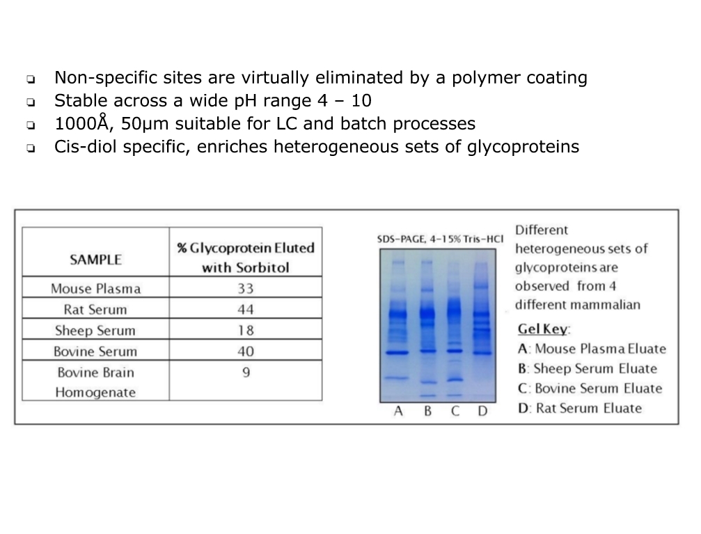 NuGel™ Phenyl Boronic Acid苯基硼酸(PBA)