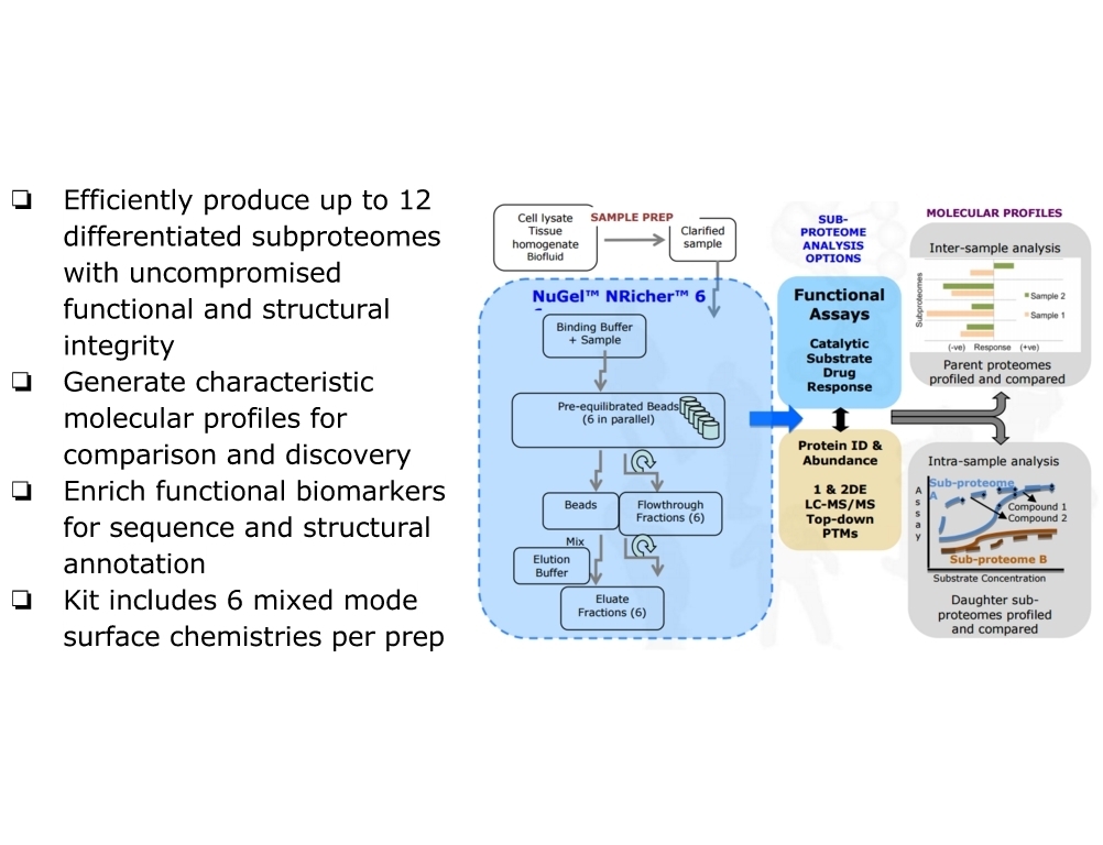 NuGel™ NRicher™ 6 Kit功能蛋白质组学分离及富集试剂盒