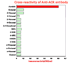 Anti ACR monoclonal antibody