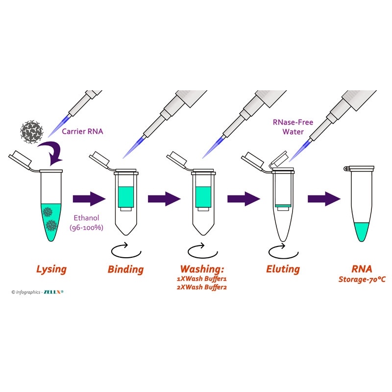 Viral RNA Extraction Kit病毒RNA提取试剂盒