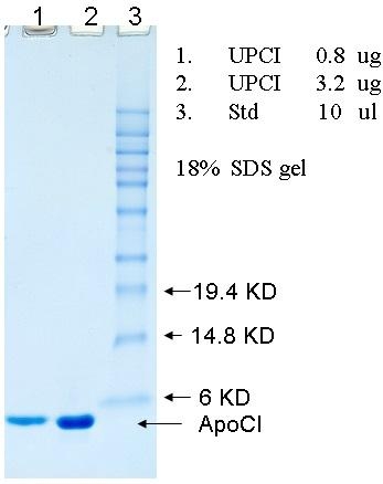 Ultra Pure Human Apolipoprotein CI (Apo CI) 超纯人载脂蛋白CI