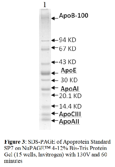 人载脂蛋白Mix2 SDS-PAGE标准 Human Apoprotein Mix2 SDS-PAGE Standard, Un