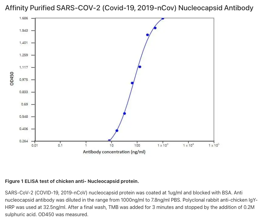 SARS-CoV-2 (COVID-19) Nucleocapsid Antibody