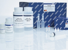 QIAGEN Plasmid Plus Giga Kit