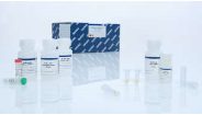 QIAamp RNA Blood Mini Kit