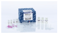 Allprep PowerFecal DNA/RNA Kit