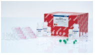 AllPrep RNA/Protein Kit