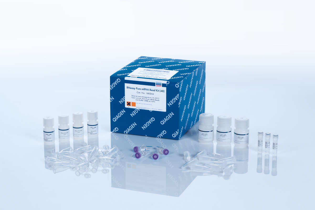 RNeasy Pure mRNA Bead Kit 