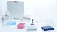 PAXgene 96 Blood RNA Kit (4)