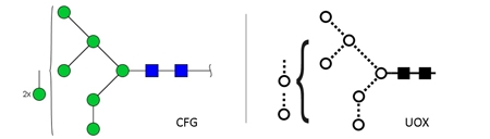 BioQuant Quantitative Man-8 Standard，甘露糖8定量标准品