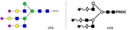 A3 Glycan (A3G3S3), Procainamide Labelled，A3多糖标准品(A3G3S3)，普鲁卡因胺标