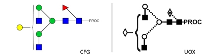 FA2G1 Glycan (G1F), Procainamide Labelled，FA2G1多糖标准品(G1F)，普鲁卡因胺标