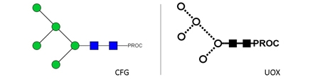 Man-5 Glycan, Procainamide Labelled，Man-5多糖标准品，普鲁卡因胺标记