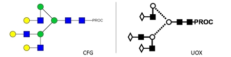 NA3 Glycan (A3G3), Procainamide Labelled，NA3多糖标准品(A3G3)，普鲁卡因胺标记