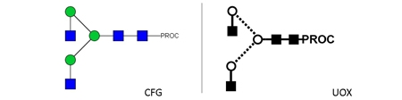 NGA2 Glycan (A2), Procainamide Labelled，NGA2多糖标准品(A2)，普鲁卡因胺标记