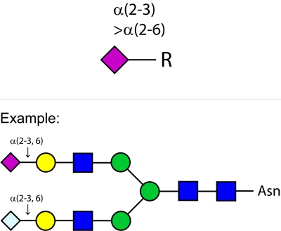 Sialidase Cp alpha-(2-3,6)，唾液酸酶CP α-(2- 3,6)