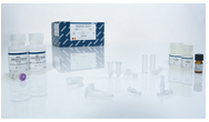 QIAamp DSP DNA Blood Mini Kit