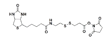 NHS-SS-Biotin  