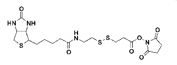 NHS-SS-Biotin  