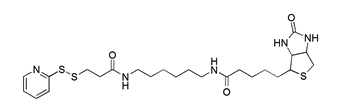 Biotin-HPDP 