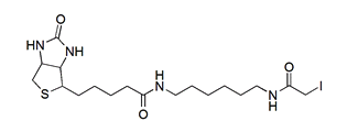 Iodoacetyl-LC-Biotin 