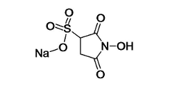 Sulfo-NHS 