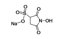 Sulfo-NHS 