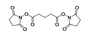 DSG Crosslinker