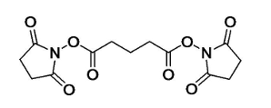 DSG Crosslinker