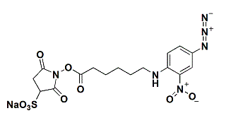 Sulfo-SANPAH Crosslinker