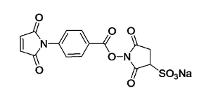 Sulfo-MBS Crosslinker  