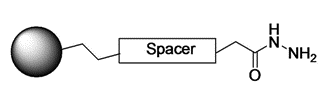 Carbohydrate-Reactive Agarose 
