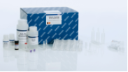 QIAamp Circulating Nucleic Acid Kit