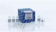 QIAamp UCP DNA Micro Kit