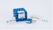 QIAamp DNA FFPE Advanced Kit