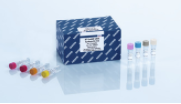 RT2 PreAMP cDNA Synthesis Kit 