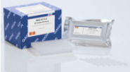 RT2 Profiler PCR Array - Plate C 12 Arrays
