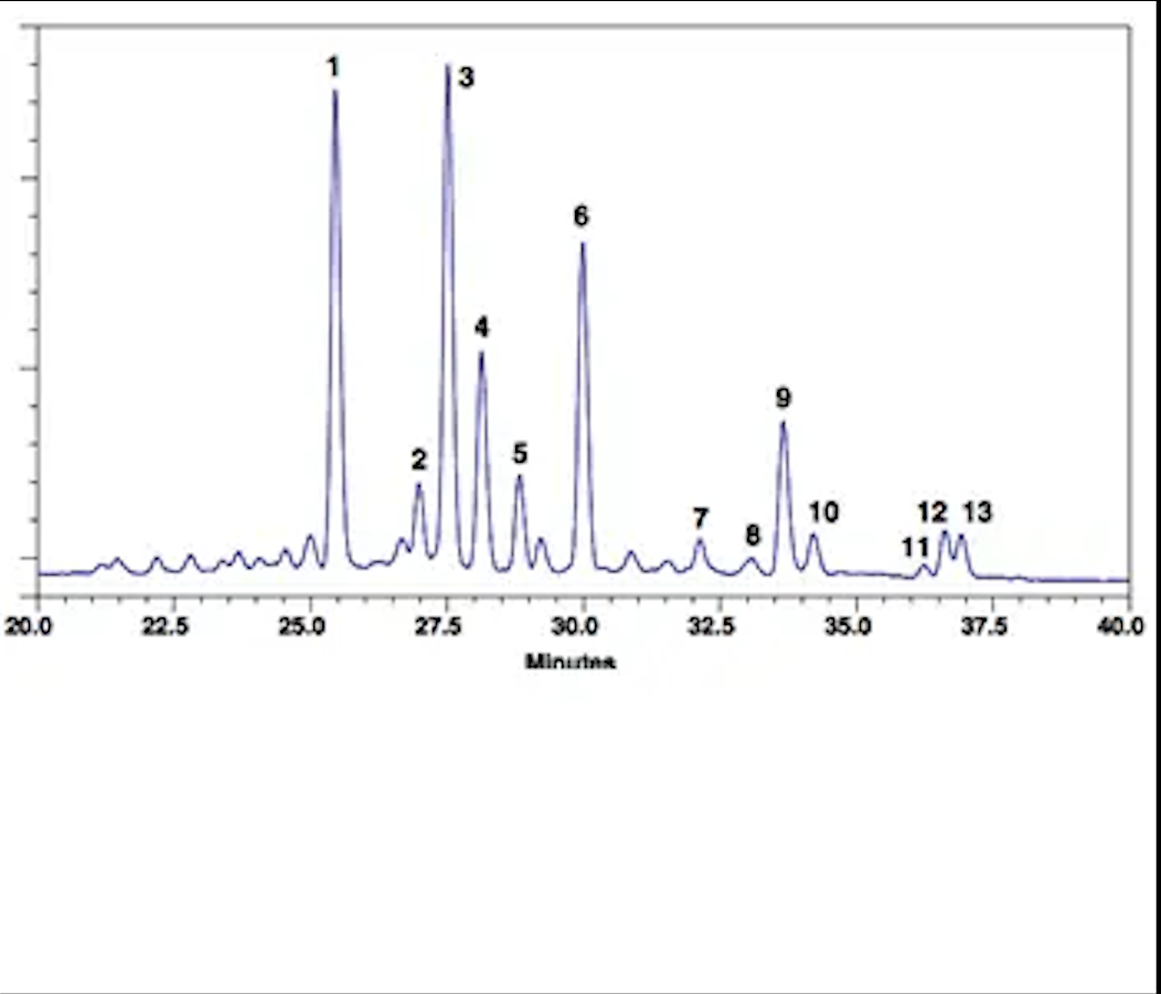 Human IgG Glycoprotein Standard，人IgG糖蛋白标准品