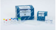 QIAseq DIRECT SARS-CoV-2 HT (E-H)