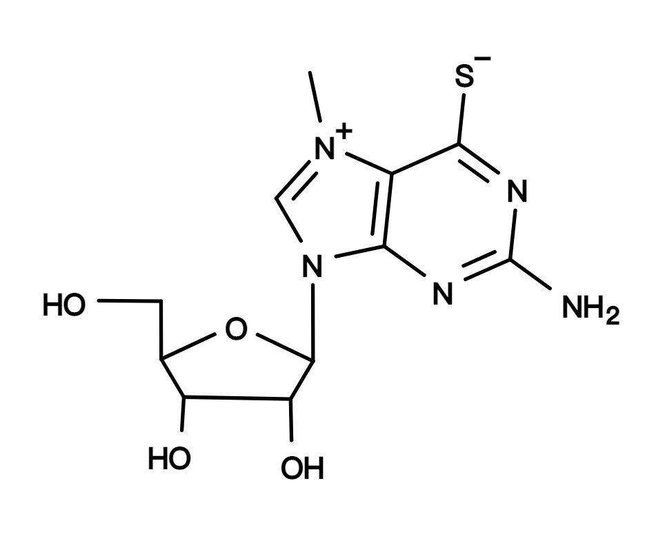 MESG *Phosphate assay reagent*