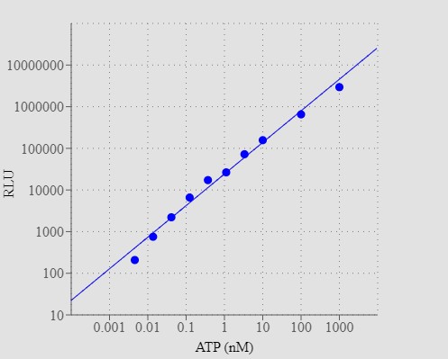 PhosphoWorks™ Luminometric ATP Assay Kit *DTT-Free*