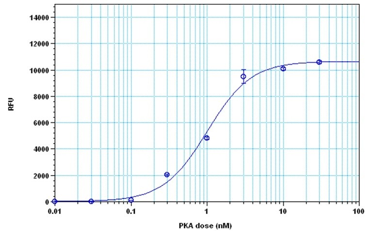 PhosphoWorks™ Fluorimetric ADP Assay Kit *Red Fluorescence*