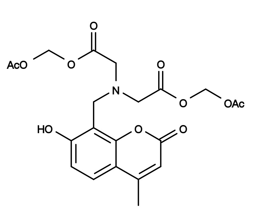 Calcein blue, AM *CAS 168482-84-6*