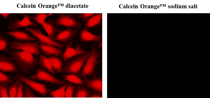 Calcein Orange™ sodium salt